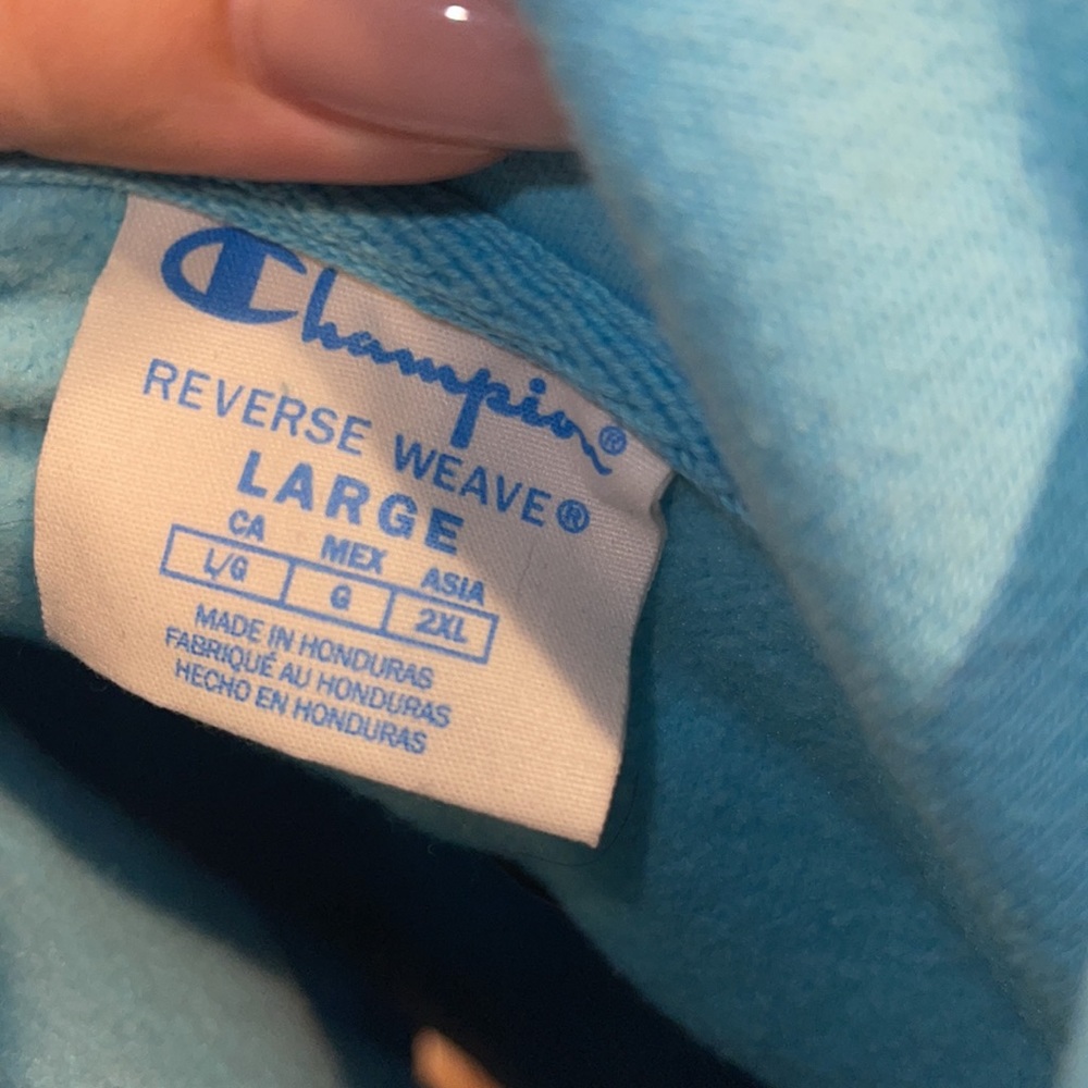 Baby-Blue Champion Hoodie - image 2